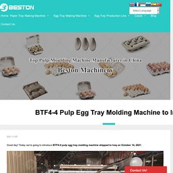 BTF4-4 Pulp Egg Tray Molding Machine to Iraq - Beston Group