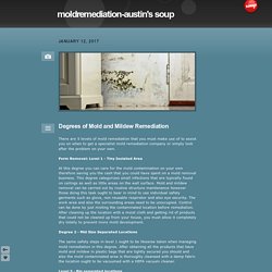 moldremediation-austin's soup