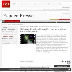 Espace Presse - Cinéma moléculaire ultra-rapide : voir les protéines absorber la lumière