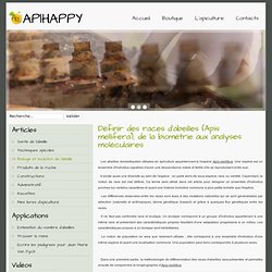 Définir des races d'abeilles (Apis mellifera), de la biométrie aux analyses moléculaires - Apiculteur en Essonne: essaims, reines et miel