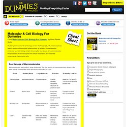 Molecular & Cell Biology For Dummies Cheat Sheet