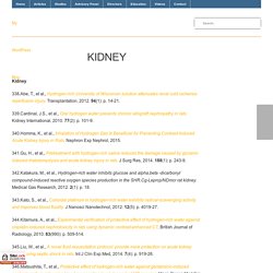 Kidney – Molecular Hydrogen Foundation