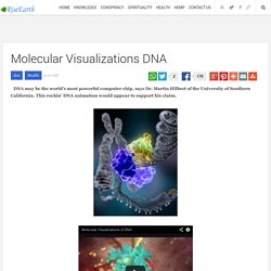 Molecular Visualizations DNA