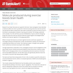 Molecule produced during exercise boosts brain health