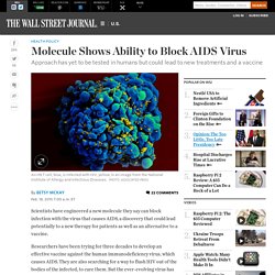 Molecule Shows Ability to Block AIDS Virus