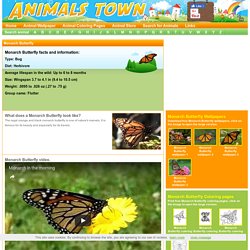 Monarch Butterfly - Animals Town