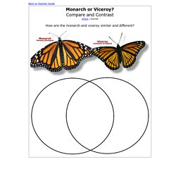 Monarch or Viceroy? Compare and Contrast