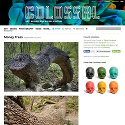 Colossal - StumbleUpon