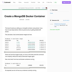 Create a MongoDB Docker Container (Example)