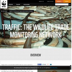 TRAFFIC: The Wildlife Trade Monitoring Network