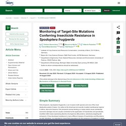 INSECTS 18/08/20 Monitoring of Target-Site Mutations Conferring Insecticide Resistance in Spodoptera frugiperda.