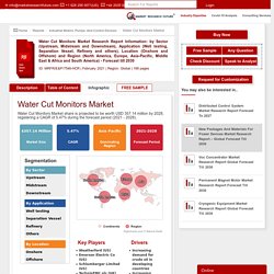 Water Cut Monitors Market Size, Share, Growth