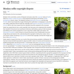 Monkey selfie copyright dispute