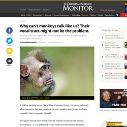 Why can't monkeys talk like us? Their vocal tract might not be the problem.