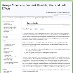 Bacopa Monnieri (Brahmi): Benefits, Use, and Side Effects