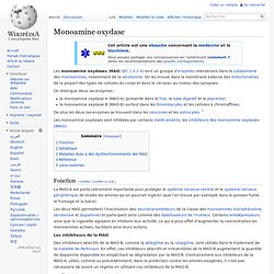 Monoamine oxydase