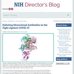 Enlisting Monoclonal Antibodies in the Fight Against COVID-19