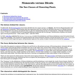 Monocots vs. Dicots