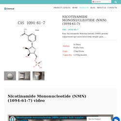 Nicotinamide Mononucleotide (1094-61-7) Manufacturers