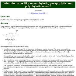 Monophyletic, Paraphyletic, Polyphyletic defined