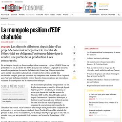 Monopole d'’EDF chahutée