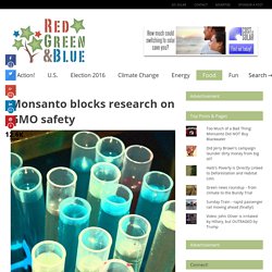 Monsanto blocks research on GMO safety
