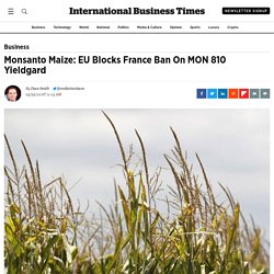 Monsanto Maize: EU Blocks France Ban