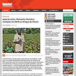 Après le coton, Monsanto cherche à multiplier les OGM en Afrique de l’Ouest - Biotechnologies