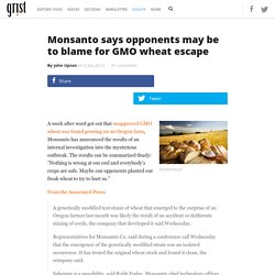 Monsanto says opponents may be to blame for GMO wheat escape