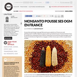 Monsanto sous le feu des décrets