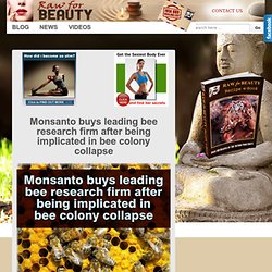 Monsanto buys leading bee research firm after being implicated in bee colony collapse