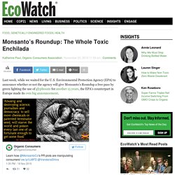 Monsanto’s Roundup: The Whole Toxic Enchilada