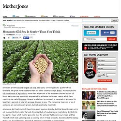 Monsanto GM Soy Is Scarier Than You Think
