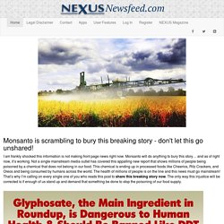 Monsanto is scrambling to bury this breaking story - don't let this go unshared! - Nexus Newsfeed