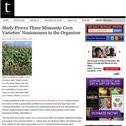 Study Proves Three Monsanto Corn Varieties' Noxiousness to the Organism