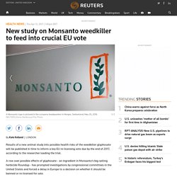 New study on Monsanto weedkiller to feed into crucial EU vote