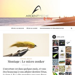 Montage : Le micro zonker - Le blog Ardent Pêche