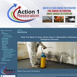 Montana - Action 1 Restoration & Remodeling