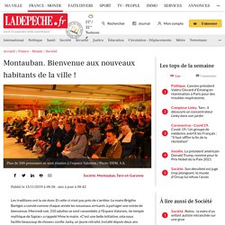 Montauban. Bienvenue aux nouveaux habitants de la ville !