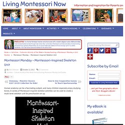 Montessori-Inspired Skeleton Unit
