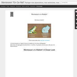 Montessori v/s Waldorf