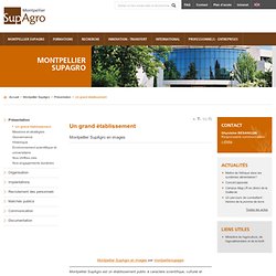 Montpellier SupAgro : Centre International d'études supérieures en sciences agronomiques de Montpellier