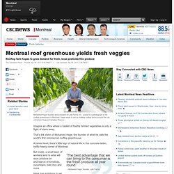 Montreal roof greenhouse yields fresh veggies - Montreal