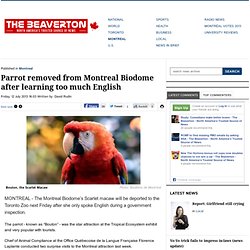 Parrot removed from Montreal Biodome after learning too much English