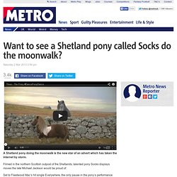 Moonwalking Shetland pony stars in new Three advert