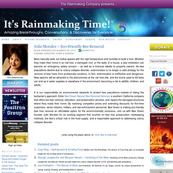 Eco-Friendly Bee Removal - It's Rainmaking Time!® — It's Rainmaking Time!®