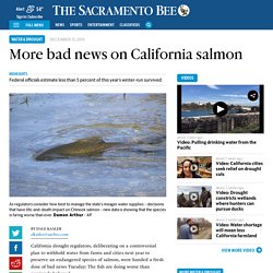 More bad news on California salmon