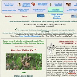 Grow Morels - Morel Mushroom Growing Kit