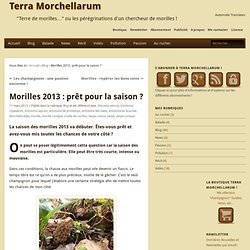 Morilles 2013 : prêt pour la saison ? » Terra Morchellarum
