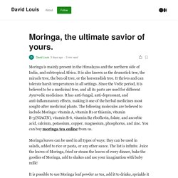 Moringa, the ultimate savior of yours.